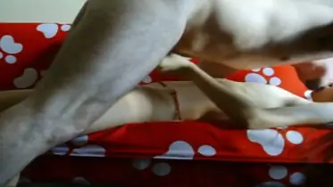 Webcam Colmek Pakai Handuk Sampai Muncrat Basah